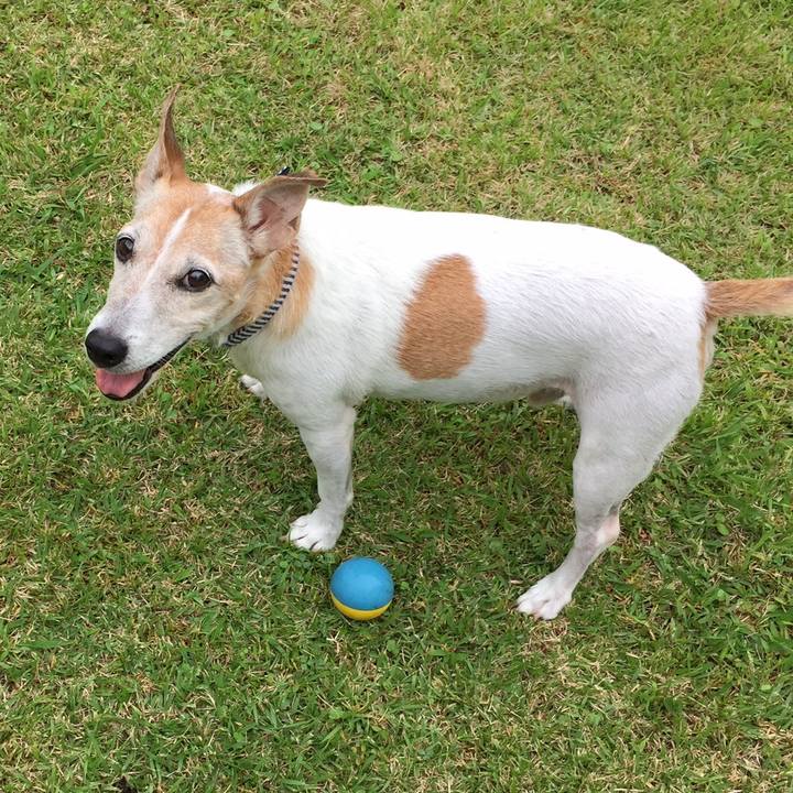 C45bbd1a 2072 4453 8d5c 3f6d7ec9e6aa 1535890761208