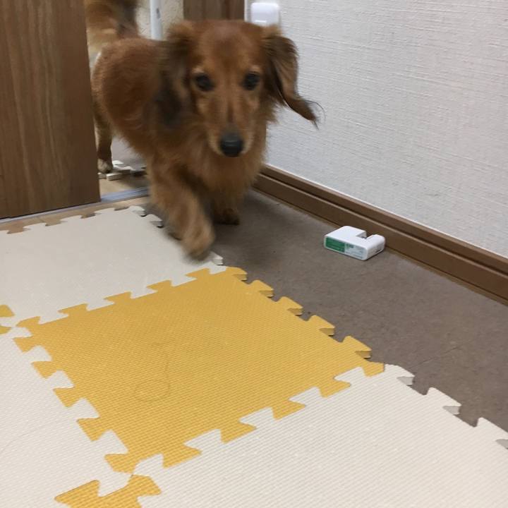 C45bedbb f07b 40df 8f09 97b68ad9c38a 1548589429831