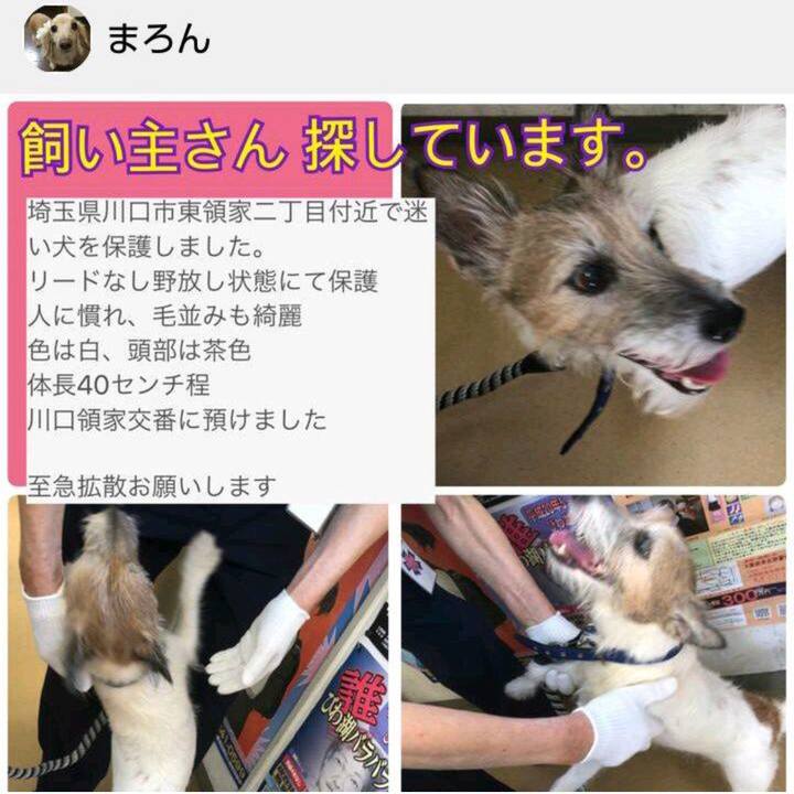 C45bf559 5028 4a78 a1ce b4c9154594c5 1536520019963