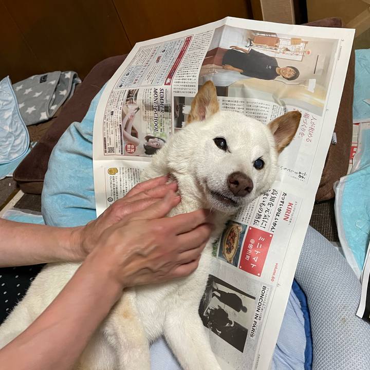 C45bf9c7 79e9 4d2d 994c fda80046378c 1656252755399