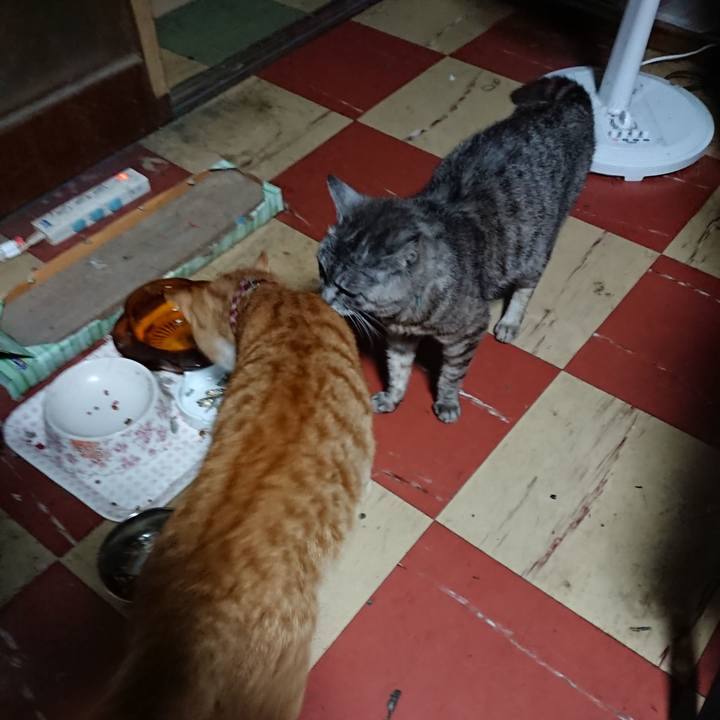 C45bfcb2 91ae 48ff 89d7 13339f1268ac 1566417681567