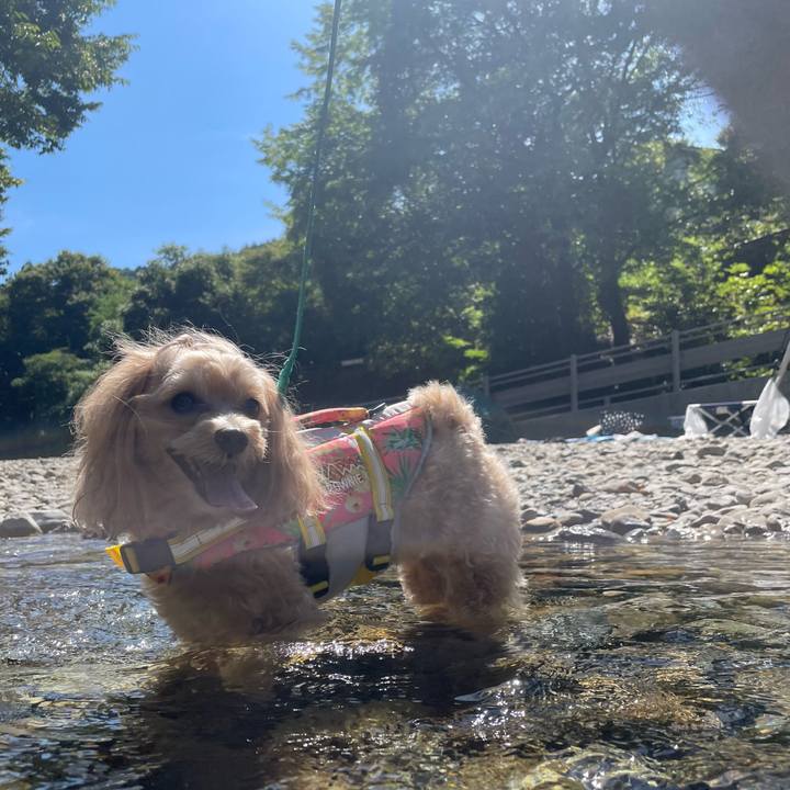 C45bfd80 53c4 4534 8b1b c777de26f5de 1690262524537