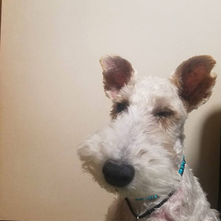 C45c26be c3ab 410a b33b a98de6f03b06 1571353059650