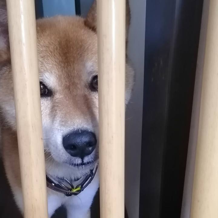 C45c37b7 4c9a 42ba 9102 b661cbafb0ce 1595294510515