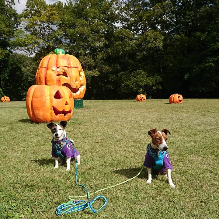 C45c4c50 5b61 4f38 885c 894de980e837 1603246189125