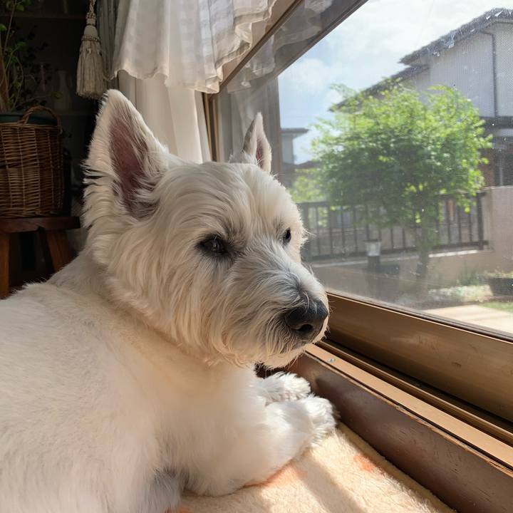 C45c4f26 3a33 4617 b167 c4fb501d8035 1636290233639