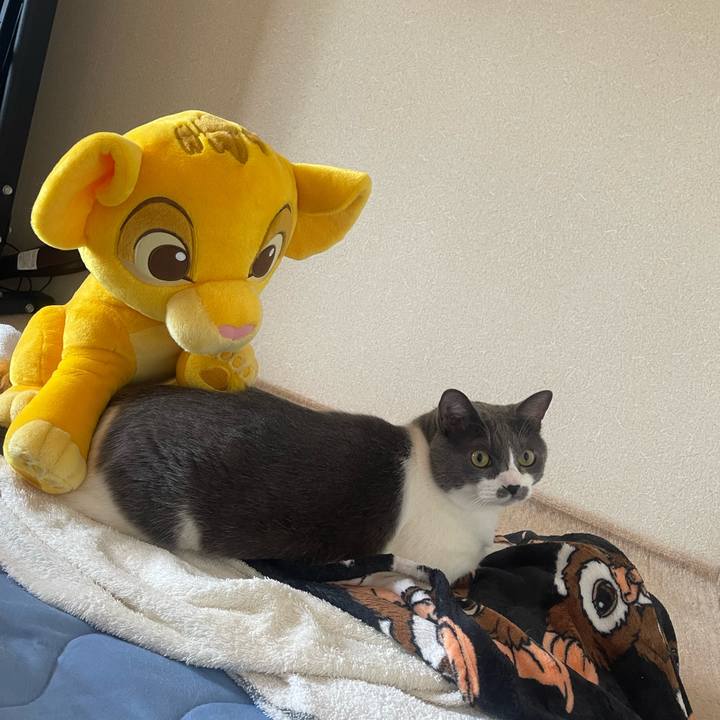 C45c80d2 c0f7 4720 880a b95f2060b28a 1752474692458