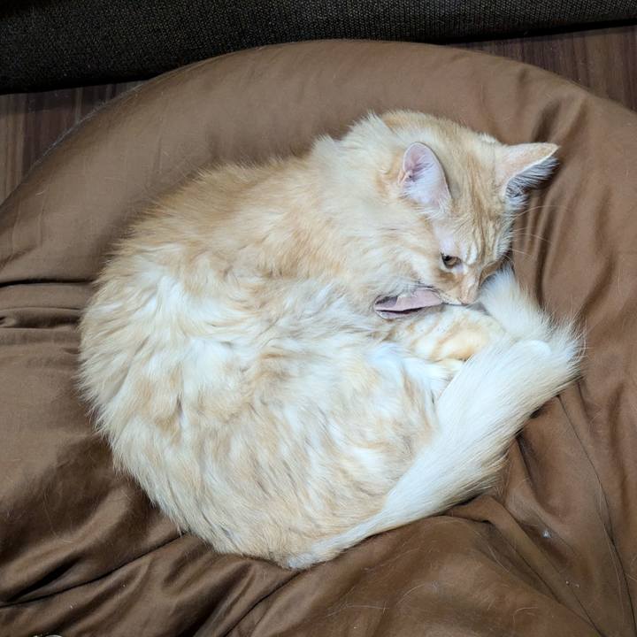 C45c8b2e b401 439b be41 d197d19b3b7b 1730032026727