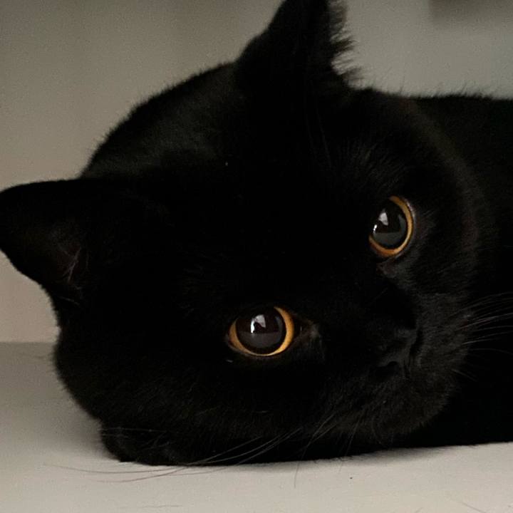 C45ca617 8de7 4ad6 9a44 a1377aab8652 1631315590403