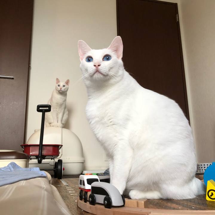 C45ca9a7 5541 43e4 b906 e3d361f28e85 1532242840003