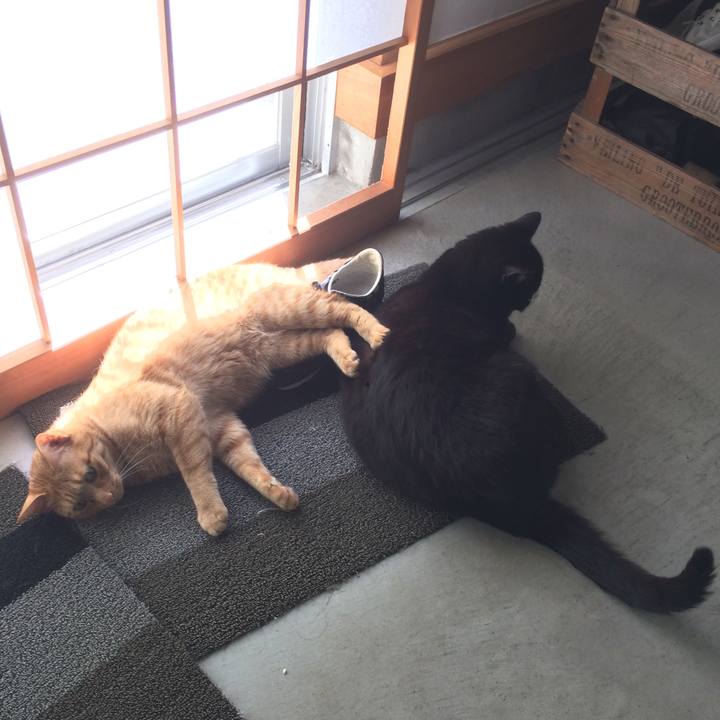 C45caee6 0f7c 43aa a7e7 c692a4e360e0 1524616031211