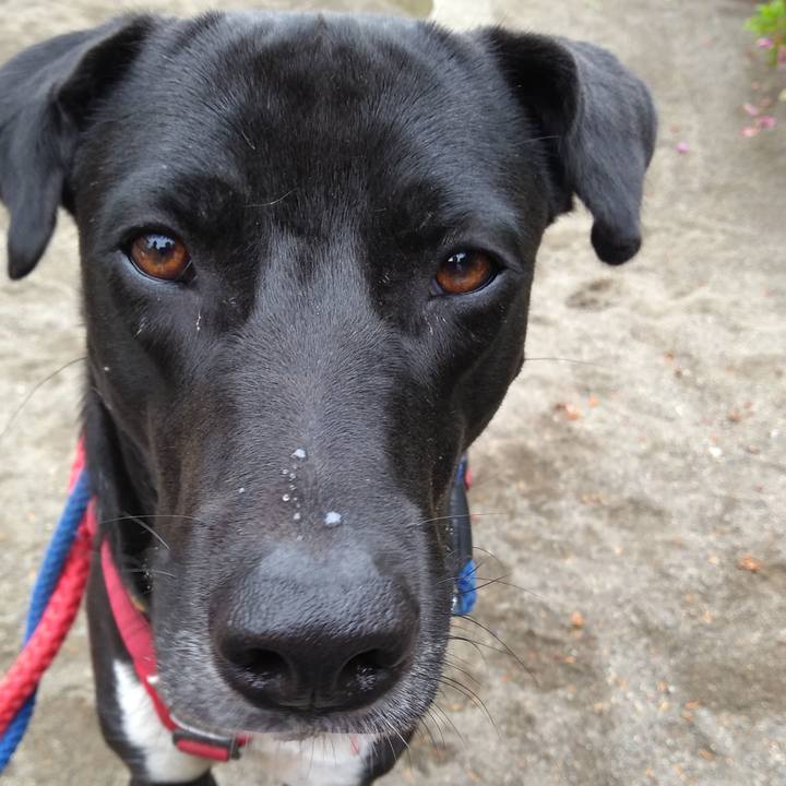 C45cc02a 3686 443d bee1 0a134b1750a3 1589763235053