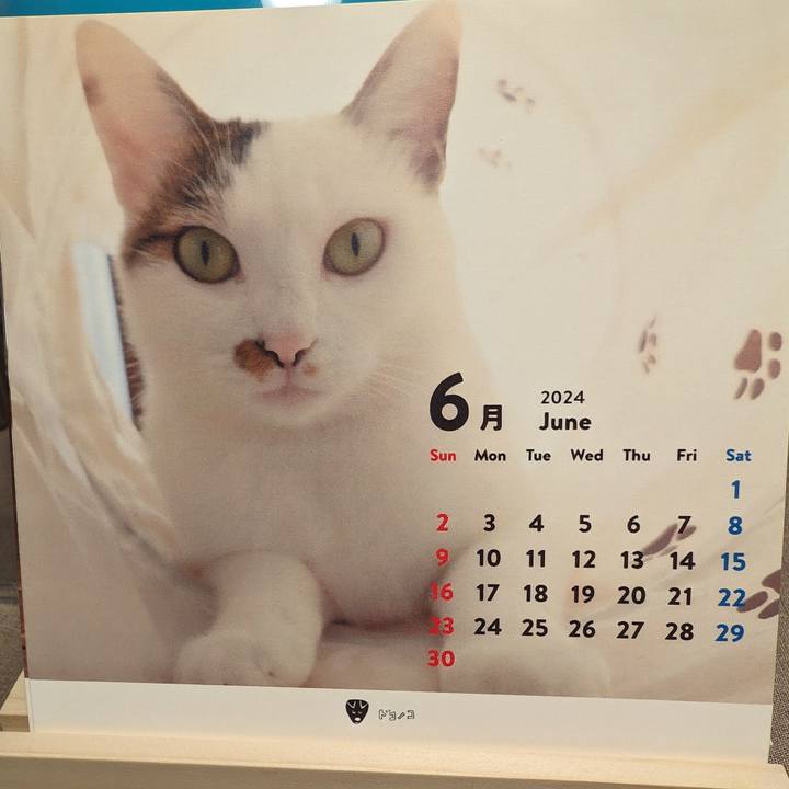 C45cd8f3 7ab1 4b67 9c22 95f40313911b 1717249631829