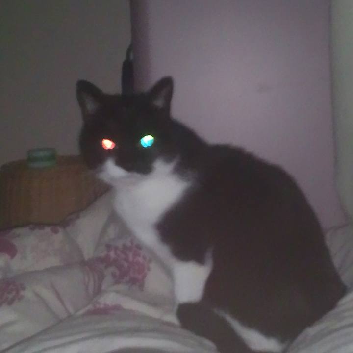 C45cec11 4e4f 4c93 a8b9 08d9d71dd4e8 1521391166733