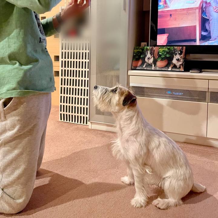 C45d3a10 e35d 45d9 a842 863e0207def9 1668252932407