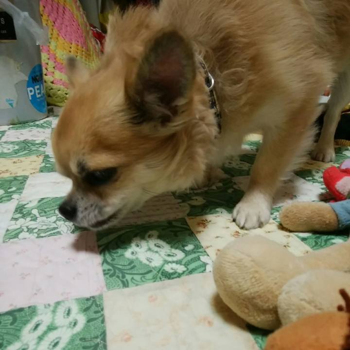 C45d50c8 ec58 4933 9cb0 cb90b17a9504 1541064328122