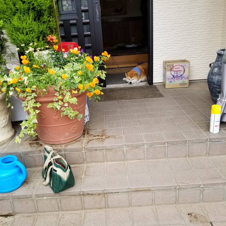 C45d9870 8b8c 4e2a a8e7 0a7bcfa0b3cd 1560652329309