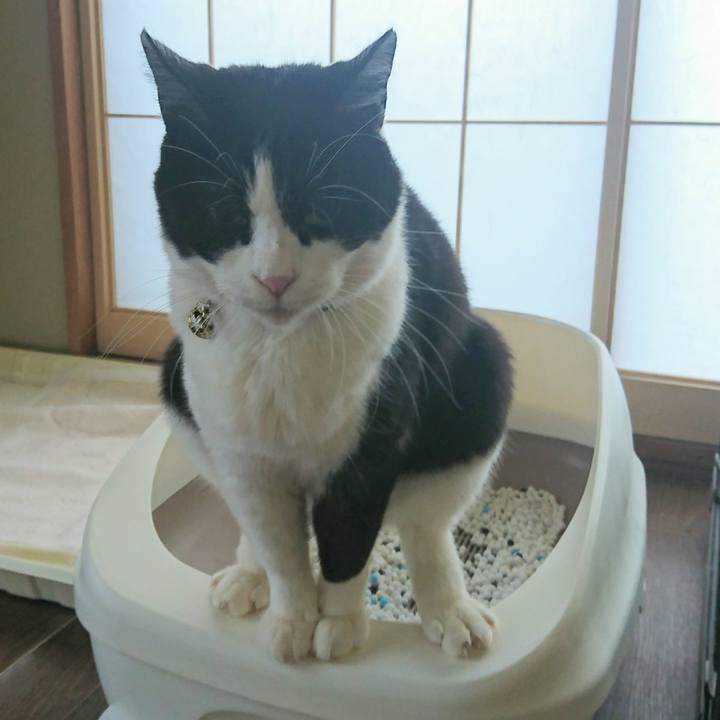 C45dee52 094c 4db6 bb2a ef5fcc7cff3e 1578789925564