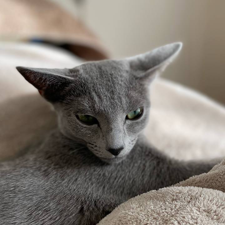 C45df165 fc2b 40d9 a51b 29170c6c3b8b 1604554764837