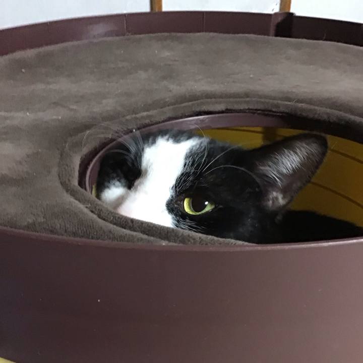 C45df852 3c7a 41de bd7c 7d250d6bf1a8 1676468302176