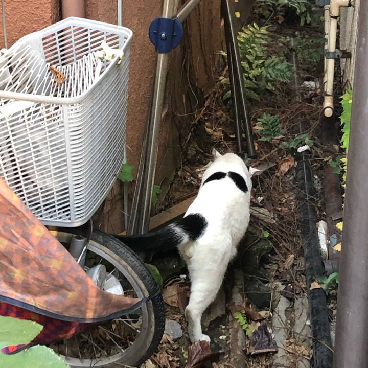 C45e0b50 4974 4f84 9d9e 9162020f213d 1575205820650