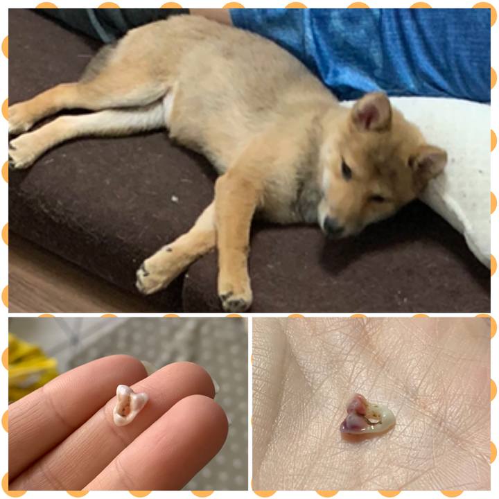 C45e365a 65e6 42e2 8848 23bfccbc8eee 1620900384962