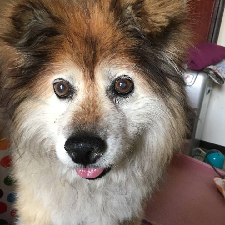 C45e3ec6 bc29 4f11 a4d0 e7c20c5945f0 1556958572606