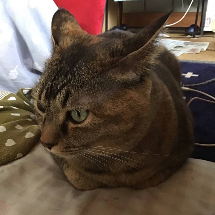 C45e50d1 dca1 447a 80da f5089cdd0b8b 1708422271937