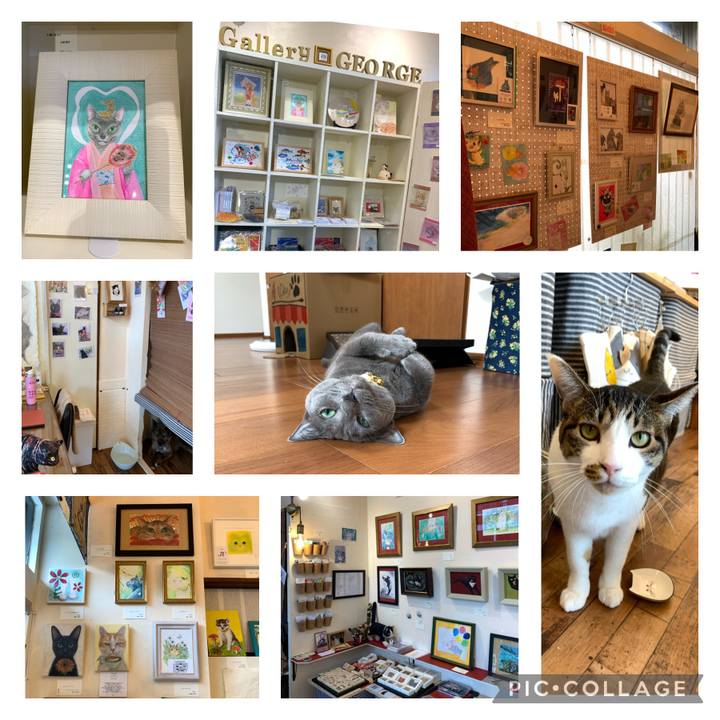 C45e580c 0bb0 47d5 99ad 48bae92abce0 1632819223938