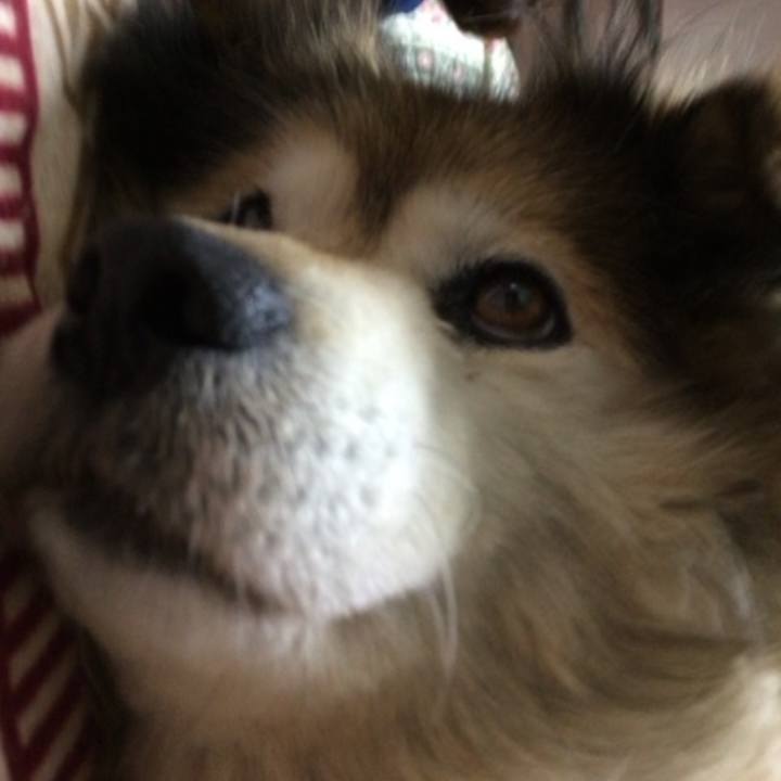 C45e7d02 9a72 4b1c a0ae c805e1d72678 1601367301754