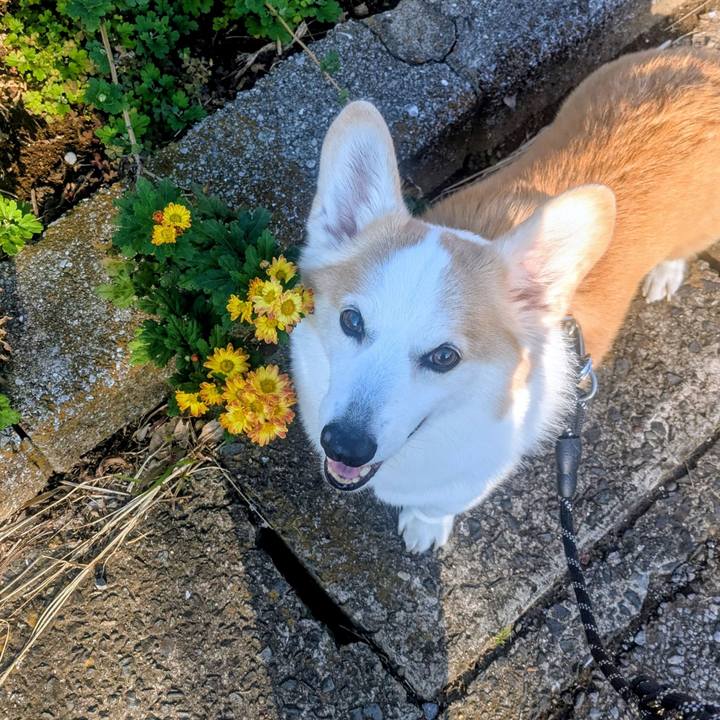 C45e8426 46cd 4f22 976e 18ab0859818a 1763179300354