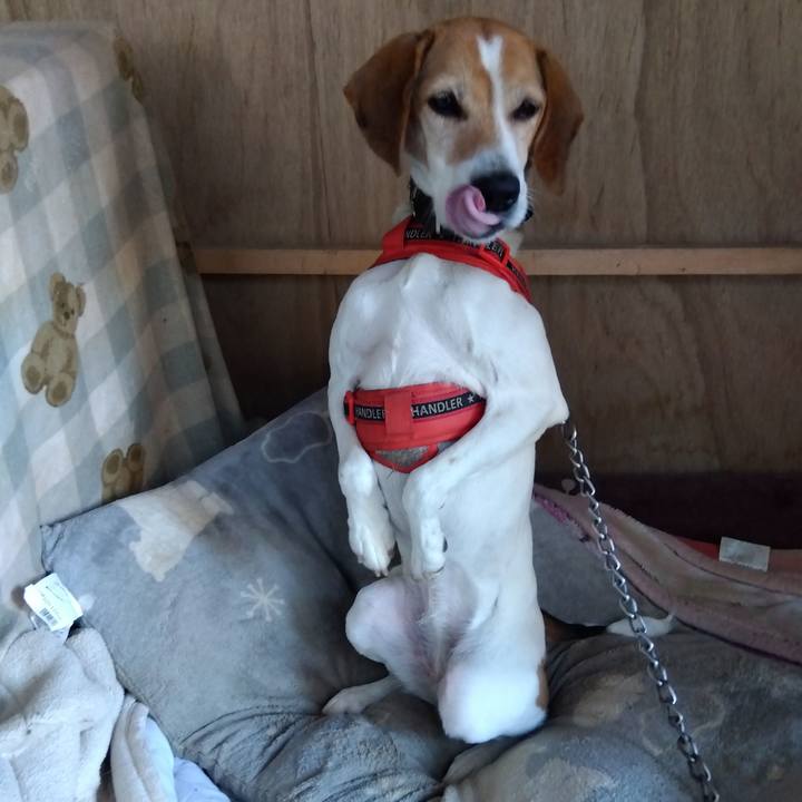 C45ecf8f 0fd1 42ba ac0a 5bfd232f8393 1705142401436