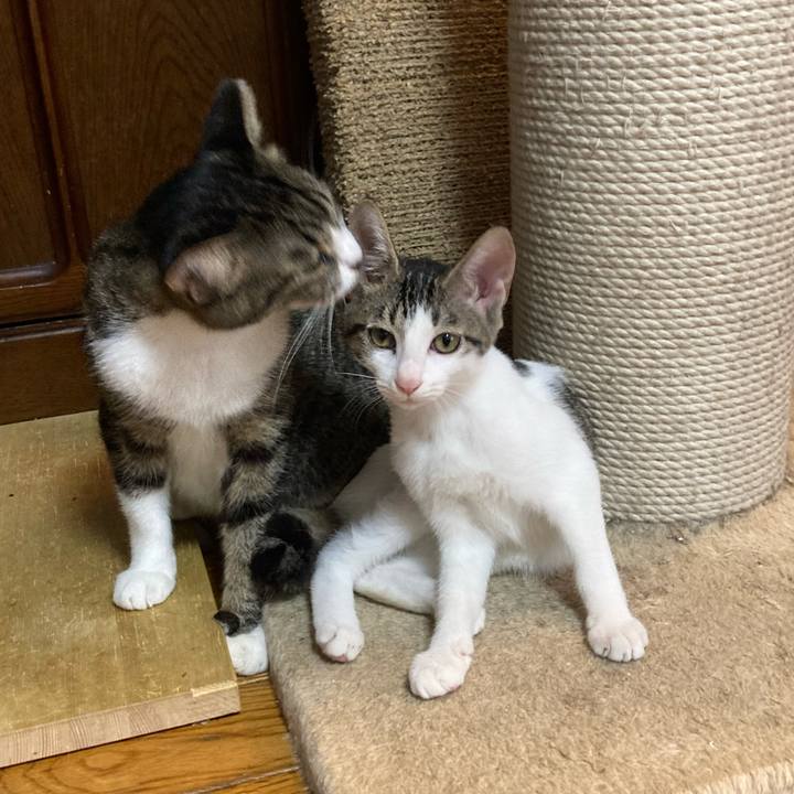 C45f13bf eb38 4c3e beae db1fac80c9dd 1693010686866