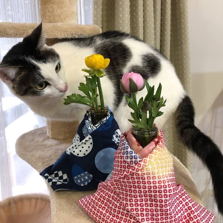 C45f15d7 30a5 48c7 a8e7 449c1c363717 1646302732608