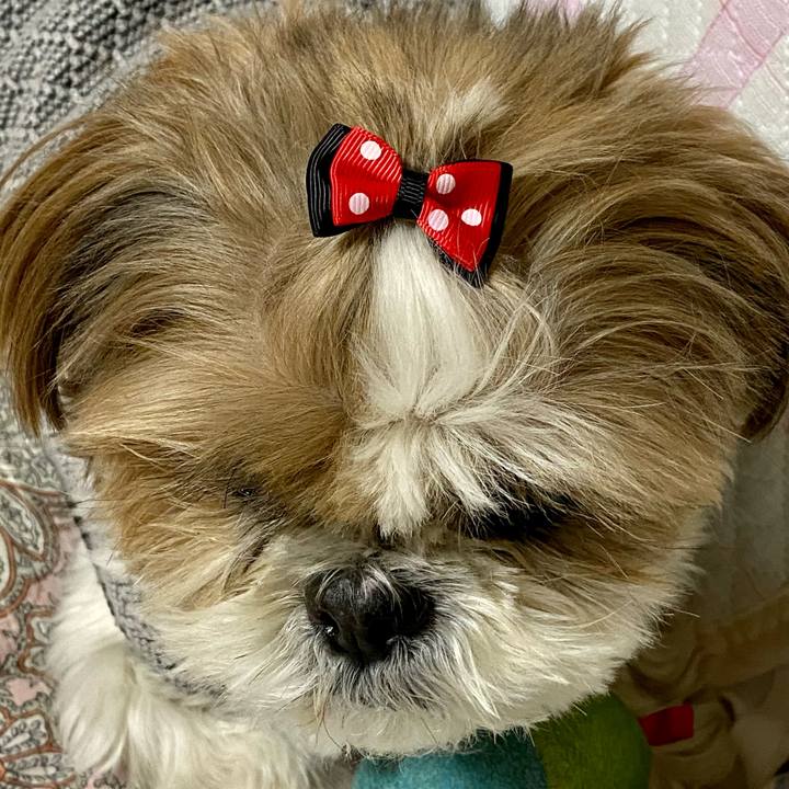 C45f424f ea91 40e4 ab27 e0e46fe12b74 1608888743115