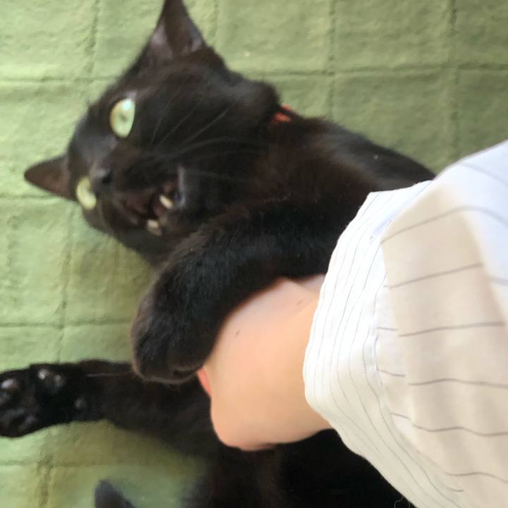 C45f55ba 3ecd 4992 9a38 05a51c14ccb9 1553862060074