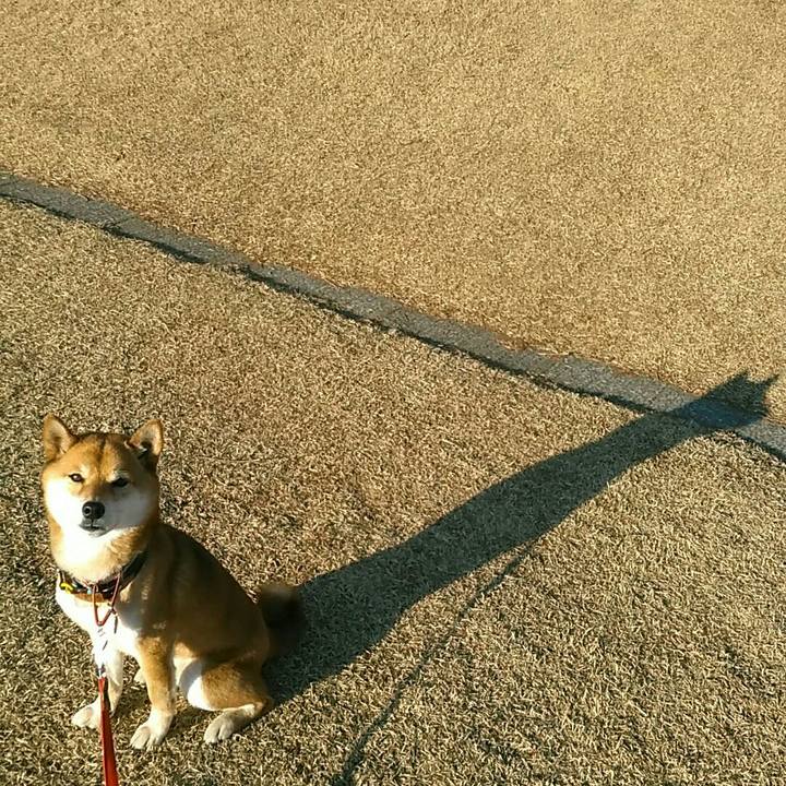 C45f6daa 854a 4835 aac3 bcf28e1fa40d 1547708580356