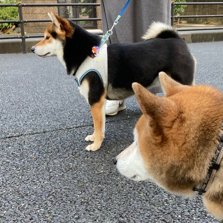 C45fa639 931f 43ff 818e 9d88403cfa5d 1705823524985