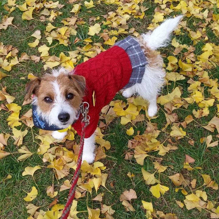 C45fc22d 7f8a 4ae2 ba81 0acf171a789b 1541931590276