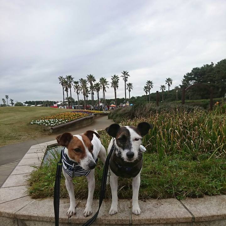 C460329d 32ca 48e8 83d7 934a44085605 1541216526922