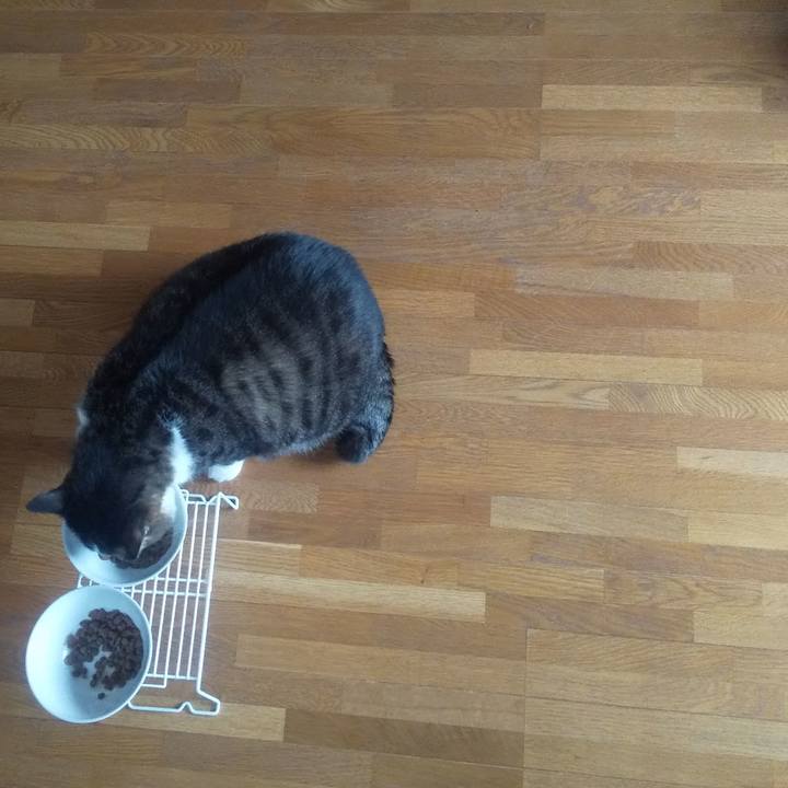 C4603ef0 c994 4751 a15f 9a37dad2dadc 1706076203402