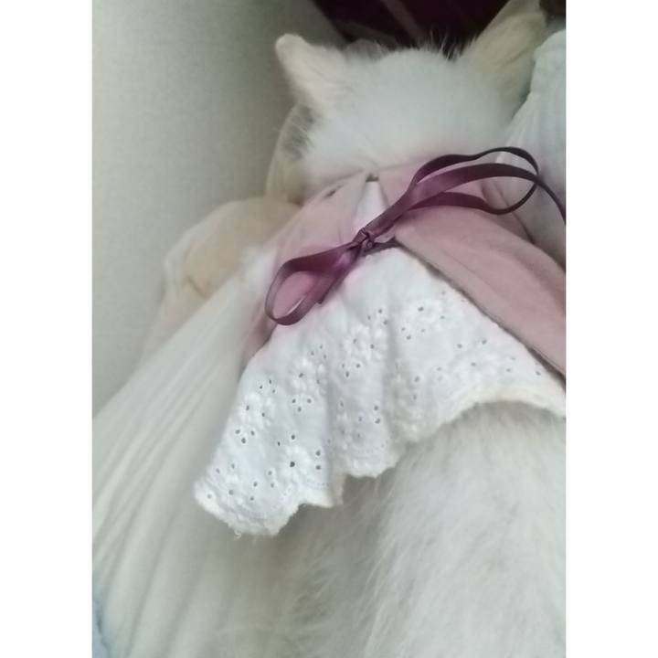 C46068f8 8b75 4958 8c4c 352ea5b76d87 1628029553978