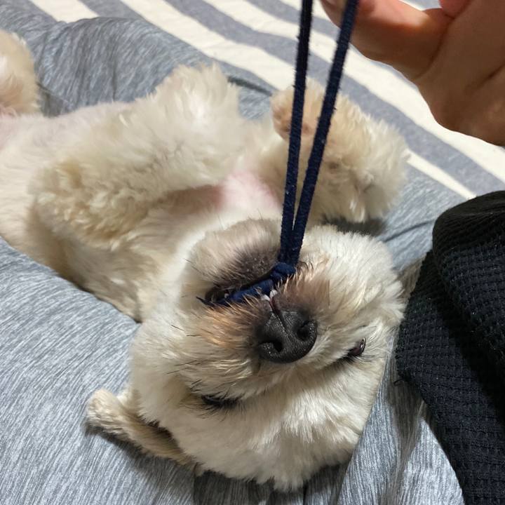 C4607070 ad50 4158 862e 81f5ce816cfd 1593867758649