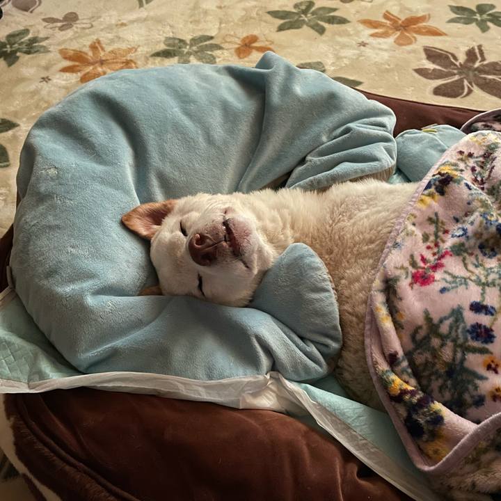 C4607107 0219 4130 a826 4cda998f4755 1668808718618