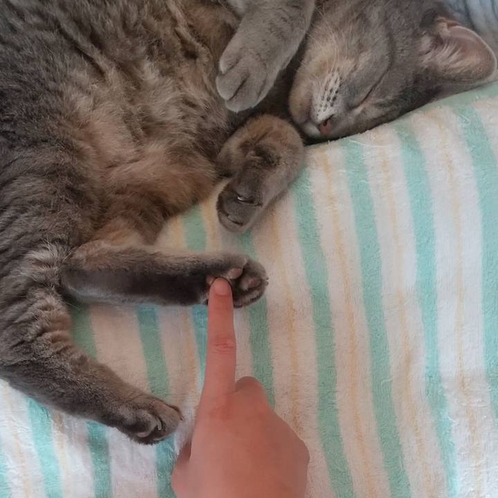 C460b389 8978 4ab6 8508 edb541e725bb 1632875660159