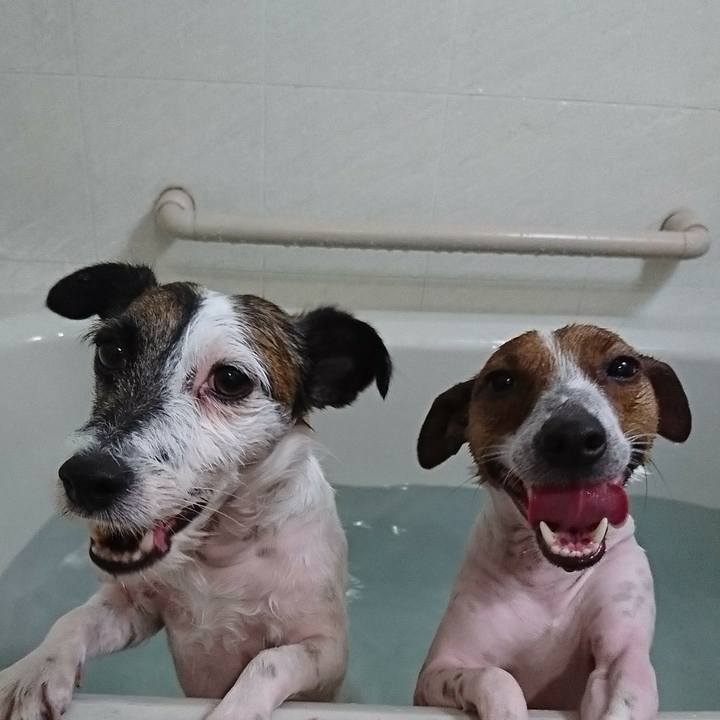 C460bd70 9d56 42ac 9d71 3ec74edc3fdc 1614946795678