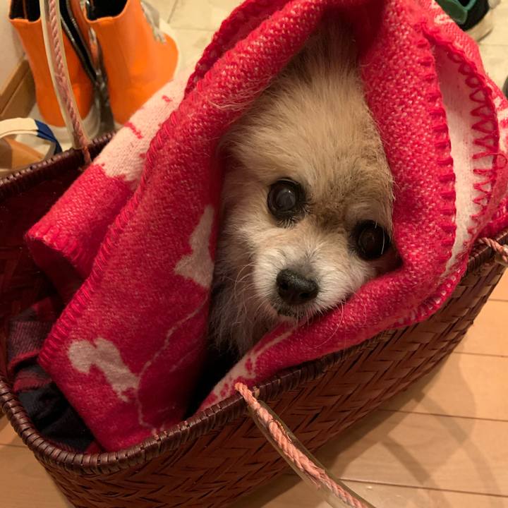 C460fb06 e19b 4c77 9a85 29f3813f87cd 1698192053179