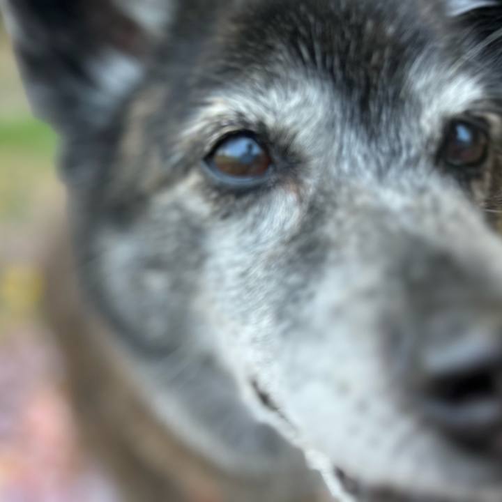 C4612e90 24fb 49ea ba26 7c918545b2ed 1744349846658