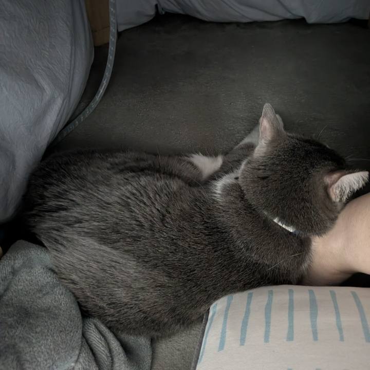 C4614936 49ef 4427 bc95 64572611b559 1772893182912