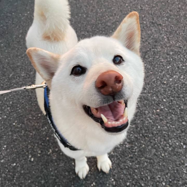 C461497b a778 4894 8a61 24eeca263c06 1659434072928